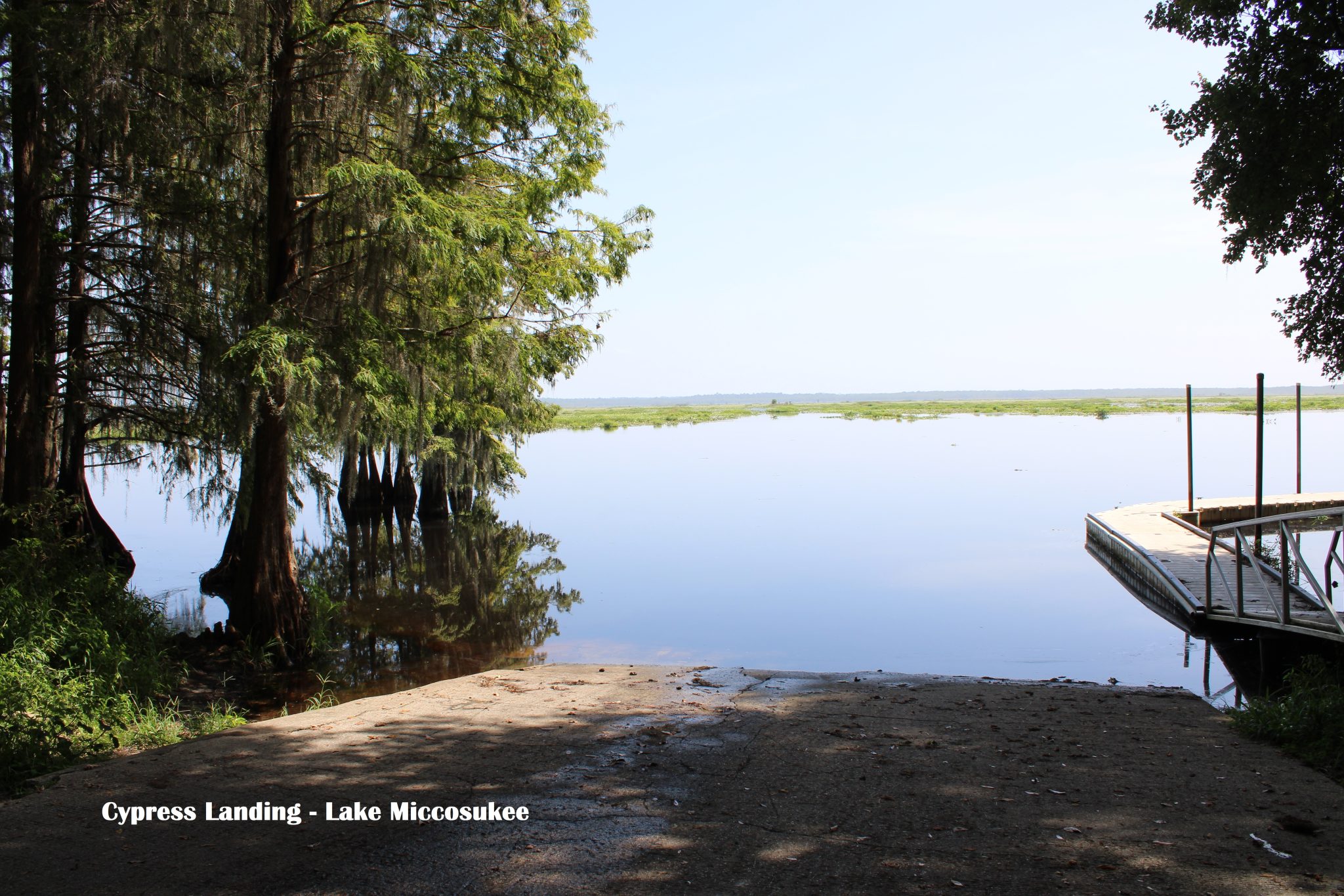 Top 5 Kayak Launches Explore Tallahassee Living In Tallahassee