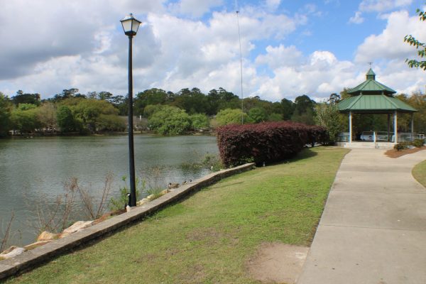 Lake Ella 1 view