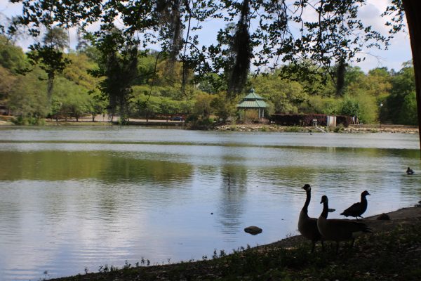 Lake Ella 3 view