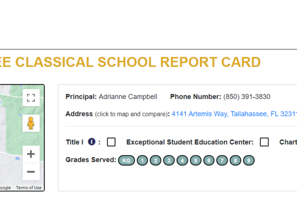 1 Tally Classical