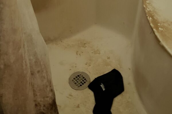 gross bath
