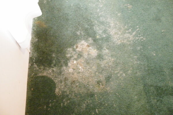 gross flooring
