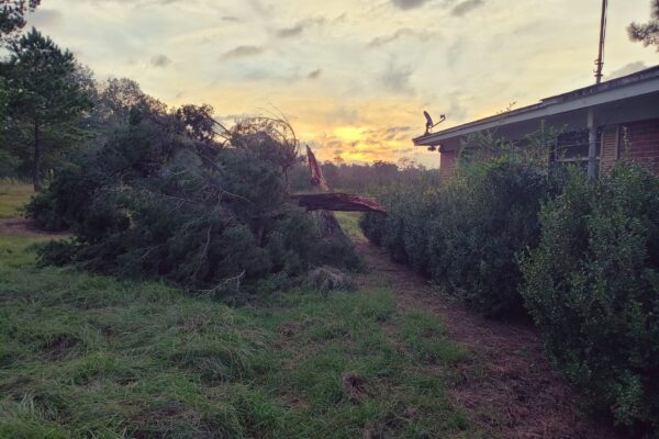 hurricane damage