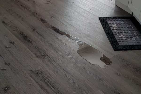 leaking fridge