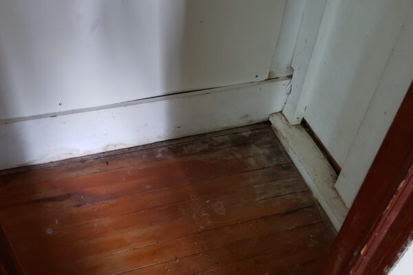 water damage mold