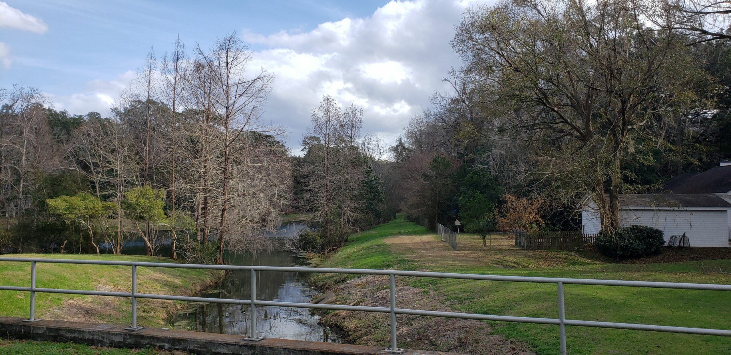 Betton Hills in Tallahassee