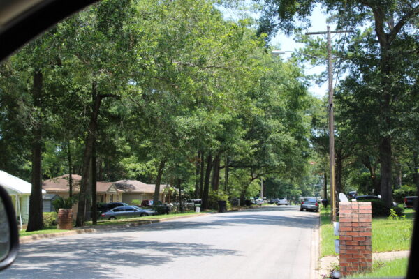 IMG_1803 IMG_1803