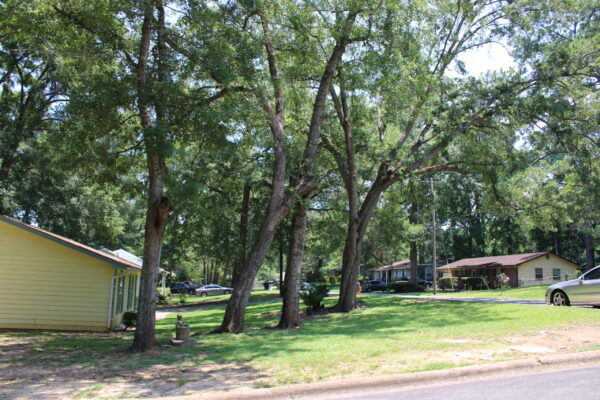 IMG_1812 IMG_1812